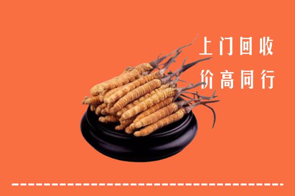 高价求购：枣强县回收散虫草