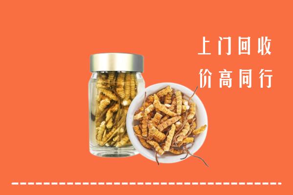 枣强县回收冬虫夏草