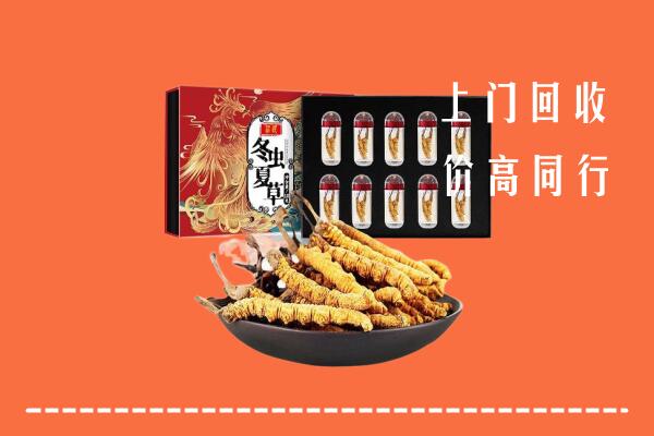 枣强县高价回收虫草